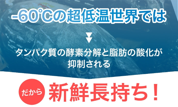-60℃の超低温世界ではタンパク質の酵素分解と脂肪の酸化が抑制される